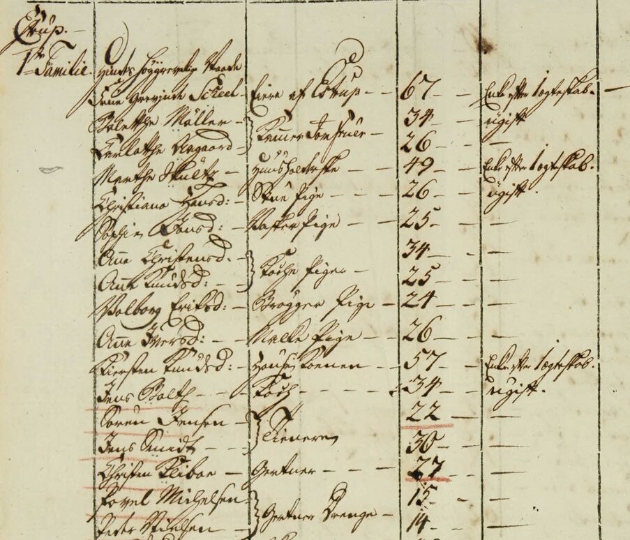 An excerpt from the 1787 census showing names, roles, ages, and household positions of the gentry and servants at the Gammel Estrup manor. It is written in old Gothic script.